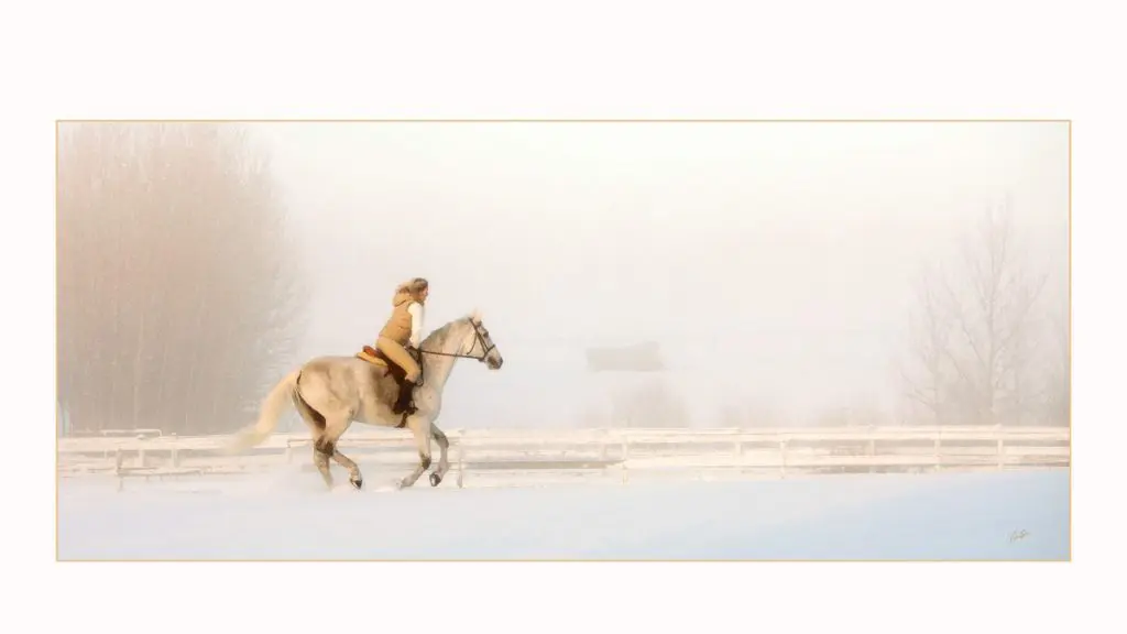 Photograph of a woman riding a horse through the snow - PPOC (Professional Photographers of Canada)