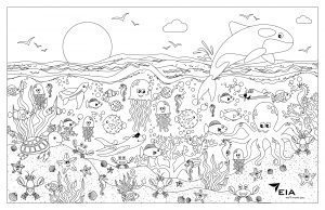 Ocean and flight insipred colouring sheet.