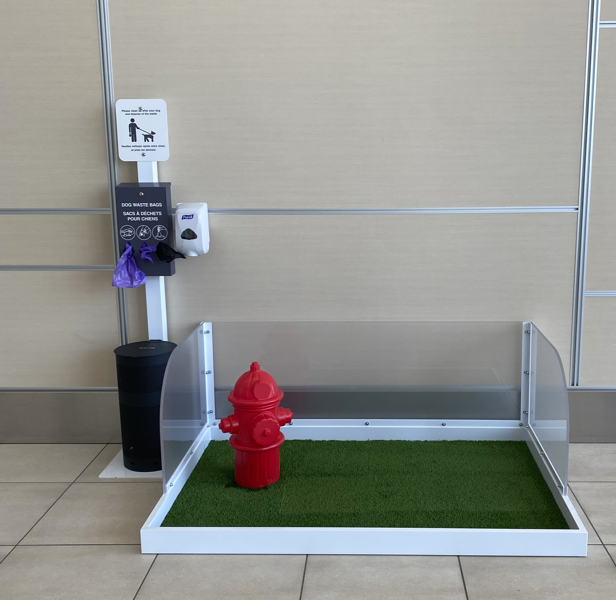 photo of the pet relief area in the US departures lounge